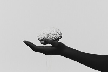 Poster - Intellectual Elevation: A grayscale shot features a human hand delicately cradling a brain model, symbolizing intellect, knowledge, and the power of thought.