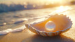 © purich - Seashell on Sandy Beach at Sunrise
