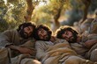 © Bargais - Three of Jesus disciples sleeping in the olive grove.