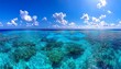 © Bakri - Coral Reef Ocean View