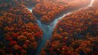 © Maftukhul - Aerial Panorama of Autumnal Forest with Vibrant Foliage Adjoining Tranquil River