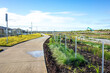 © Doublelee - A winding concrete footpath through an emerging residential development area with newly planted vegetation.A new Australian suburban housing estate with extensive undeveloped land in the outer suburbs