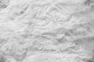 Wall Mural - White grey artificial fur texture on background