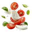 © Faisal - Fresh mozzarella tomato basil salad italian cuisine food isolated on transparent background