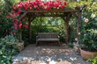 © Andrii Savchuk - Wooden bench under blooming red flowers in a peaceful garden