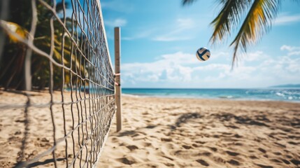 Poster - A volleyball near the net on a beach court, surrounded by palm trees and the ocean, offering an exotic and fun setting.