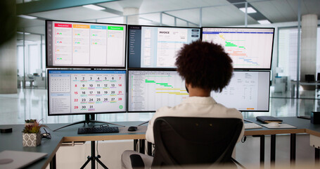 Poster - Young African American accountant using accounting software