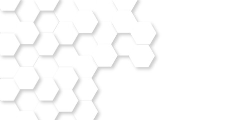Poster - white hexagonal background. luxury white pattern. vector illustration. 3d futuristic abstract honeyc