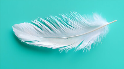 Poster - Delicate White Feather on Teal Background