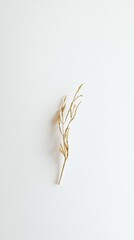 Poster - Modern Minimalist Composition of a Single Crisp Stem on White Background