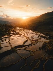 Fototapete - Beautiful flooded rice terraces reflect golden sunset above lush landscapes in serene harmony