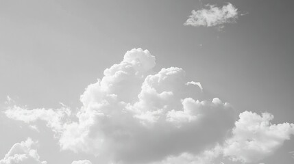 Wall Mural - White fluffy clouds are scattered across a bright gray sky
