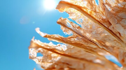 Leinwandbilder - Close up of dry leaf with textures and details under bright sunlight against a blue sky