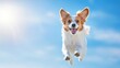 © dreamer - A joyful dog leaps in mid-air against a clear blue sky, showcasing its playful spirit and vibrant energy.