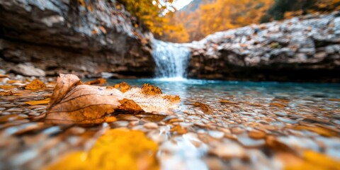 Poster - Autumnal Waterfall Cascading Into Clear Pool With Colorful Leaves and Rocks