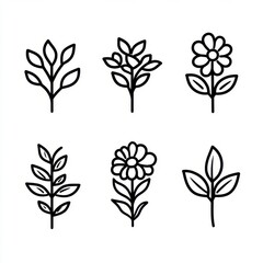 Poster - Collection of six simple line drawings of flowers and leaves on a white background. Minimalist botanical illustrations.