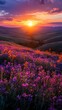 © ahmed - Vibrant wildflowers bathed in the golden light of a breathtaking sunset over rolling hills A picturesque landscape of nature's beauty at its finest
