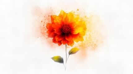 Poster - Watercolor flower is depicted with orange and yellow petals on a white background with diffuse painting style.