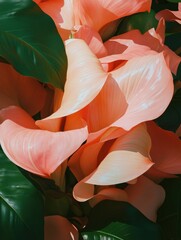 Poster - Botanical Metamorphosis Soft Coral and Emerald Leaf Symphony - Immersive Nature Exploring Organic Transformation in High-Resolution Visual Design