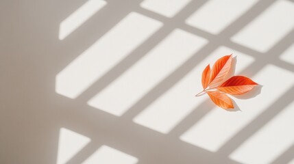 Poster - Minimalist Autumn Serenity Vibrant Orange Leaf Casting Delicate Shadow on Soft Neutral Wall - Zen Aesthetic Wellness Design Inspiration