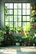 © DriftPixels - Serene Indoor Garden Oasis with Lush Green Plants by Window in Natural Light and Cement Wall Background