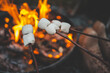 © shine.graphics - Group of people roasting marshmallows over a campfire, holding sticks with marshmallows near bright flames. Hot drinks with marshmallows are in their hands. Cozy outdoor moment