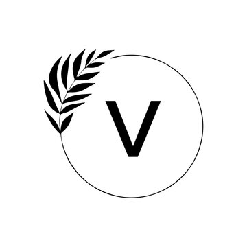 V creative minimalist letter logo.	