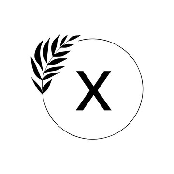 X creative minimalist letter logo.	