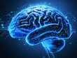 © Fantasy24 - 3d rendered illustration of human brain