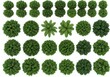 © Pixel Studio - Aerial view of various green trees and bushes arranged in a grid pattern on white background