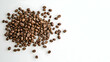 © predator - Roasted Coffee Beans Scattered On White Background With Brown Tones Close Up Studio Shot