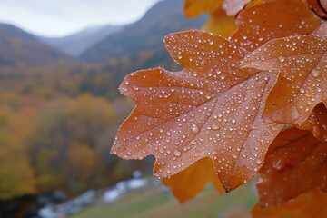 Aufkleber - Autumn leaves covered in dew resting on rocks near a river surrounded by mountains during early morning light