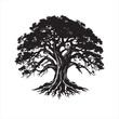 © Zarin - Tree silhouette vector with sprawling branches and exposed roots isolated on white background.