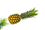Fresh ripe pineapple, juicy tropical fruit