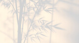Blurred bamboo branches shadow creating relaxing background on white wall