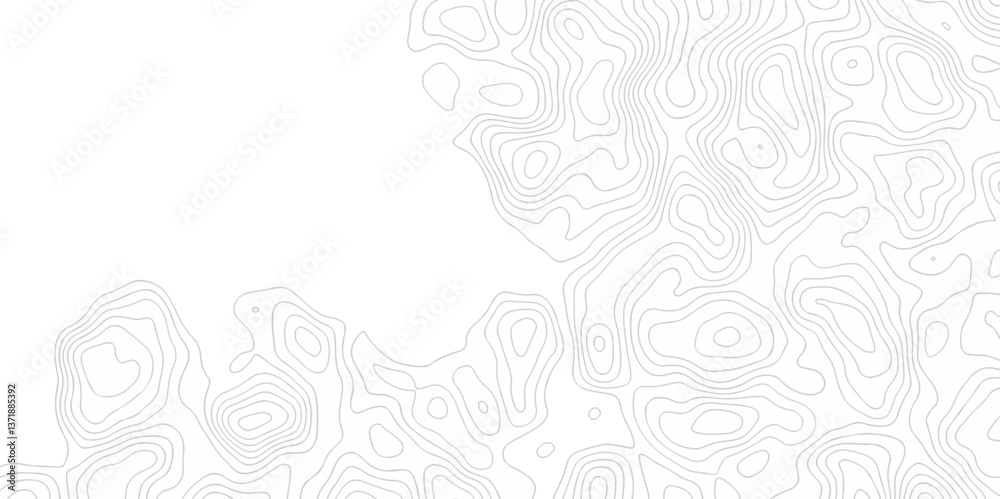 Abstract curve grid map and topo contour map on white background ...