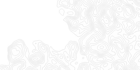 Poster - abstract curve grid map and topo contour map on white background, topographic contour lines. seamles