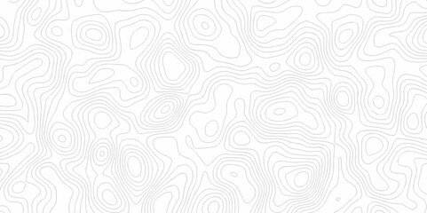 Poster - abstract curve grid map and topo contour map on white background, topographic contour lines. seamles