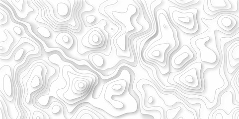 Poster - abstract curve grid map and topo contour map on white background, topographic contour lines. seamles
