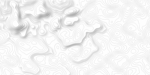 Poster - abstract curve grid map and topo contour map on white background, topographic contour lines. seamles