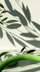 Poster - Shadows of leaves cast on a textured wall enhance the calmness of a minimalist interior setting during daylight