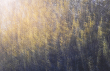 Canvas Print - Spring blossom bush. Intentional camera movement, abstract landscape background