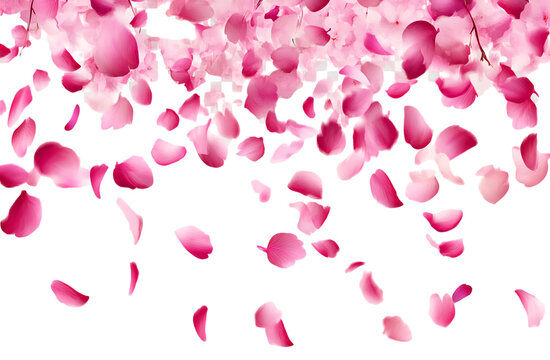 Pink peach blossom petals flying in the air, transparent background