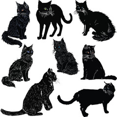 Wall Mural - eight fine black cats on white