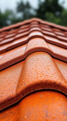 Poster - Close Up of Wet Orange Roof Tiles After Rain Showcasing Texture Pattern and Weathered Surface with Blurred Background
