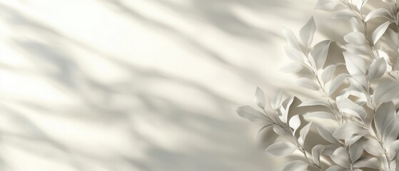 Poster - Elegant botanical composition featuring delicate leaves and soft light casting gentle shadows on a neutral backdrop for a serene and minimalist aesthetic