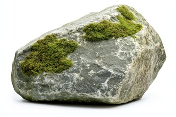 Poster - Close Up of a Mossy Boulder on a White Background Showing Texture and Detail in Studio Lighting