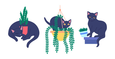 Poster - cartoon color characters cats potted plants and potted plants set cat in different poses concept fla