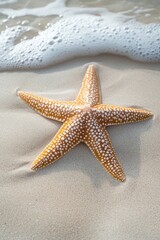 Poster - Golden starfish resting on sandy beach with gentle wave washing ashore creating a peaceful coastal scene perfect for summer vacation