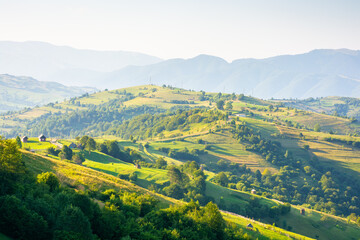 Wall Mural - rural area of transcarpathia in summer. vacation season. countryside scenery with rolling hills in m